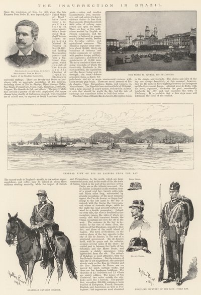 ブラジルの反乱 作： Melton Prior